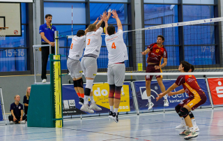 Orderbase Volleys Aktuelles Saisonsstart