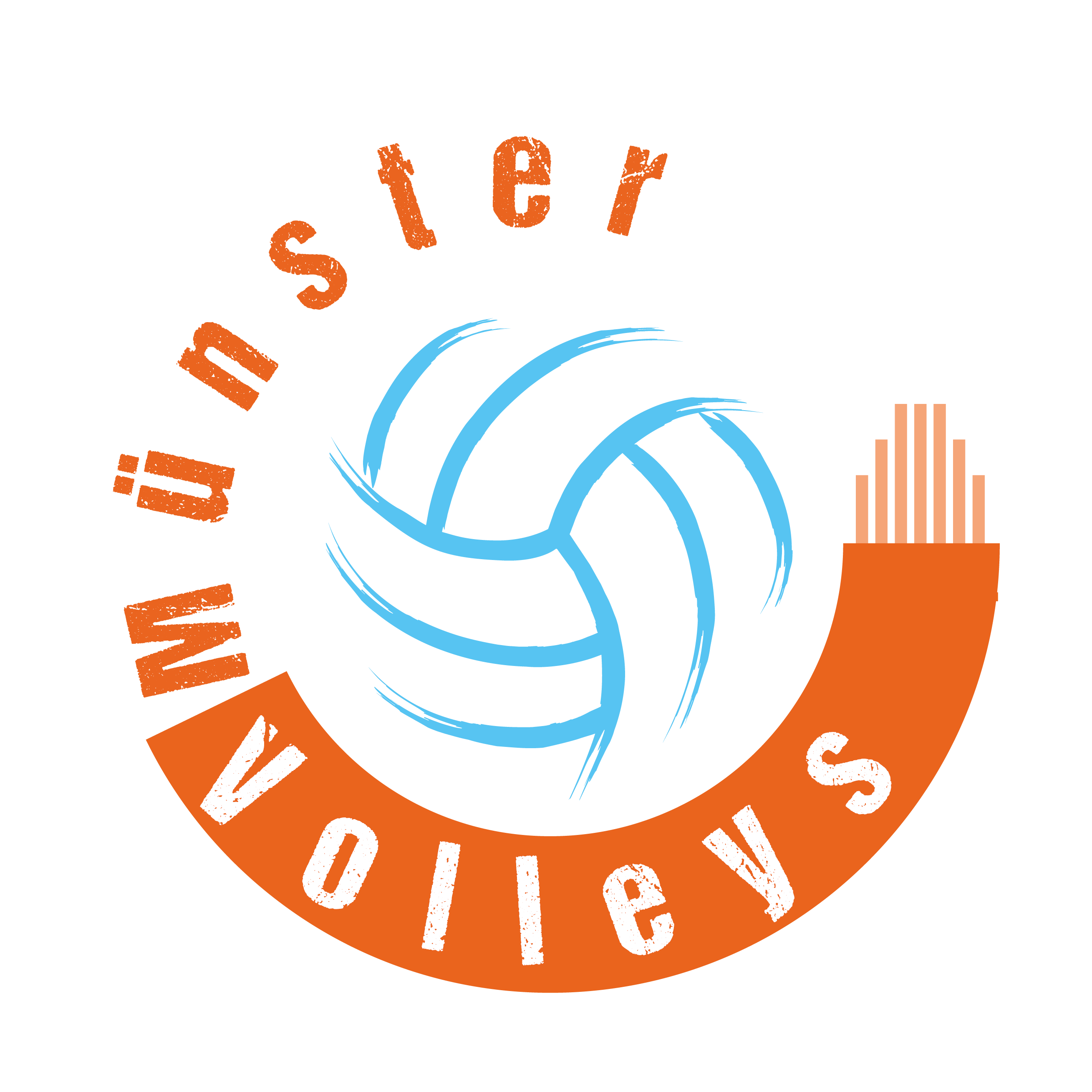 orderbase_Volleys_Muenster_Logo_72